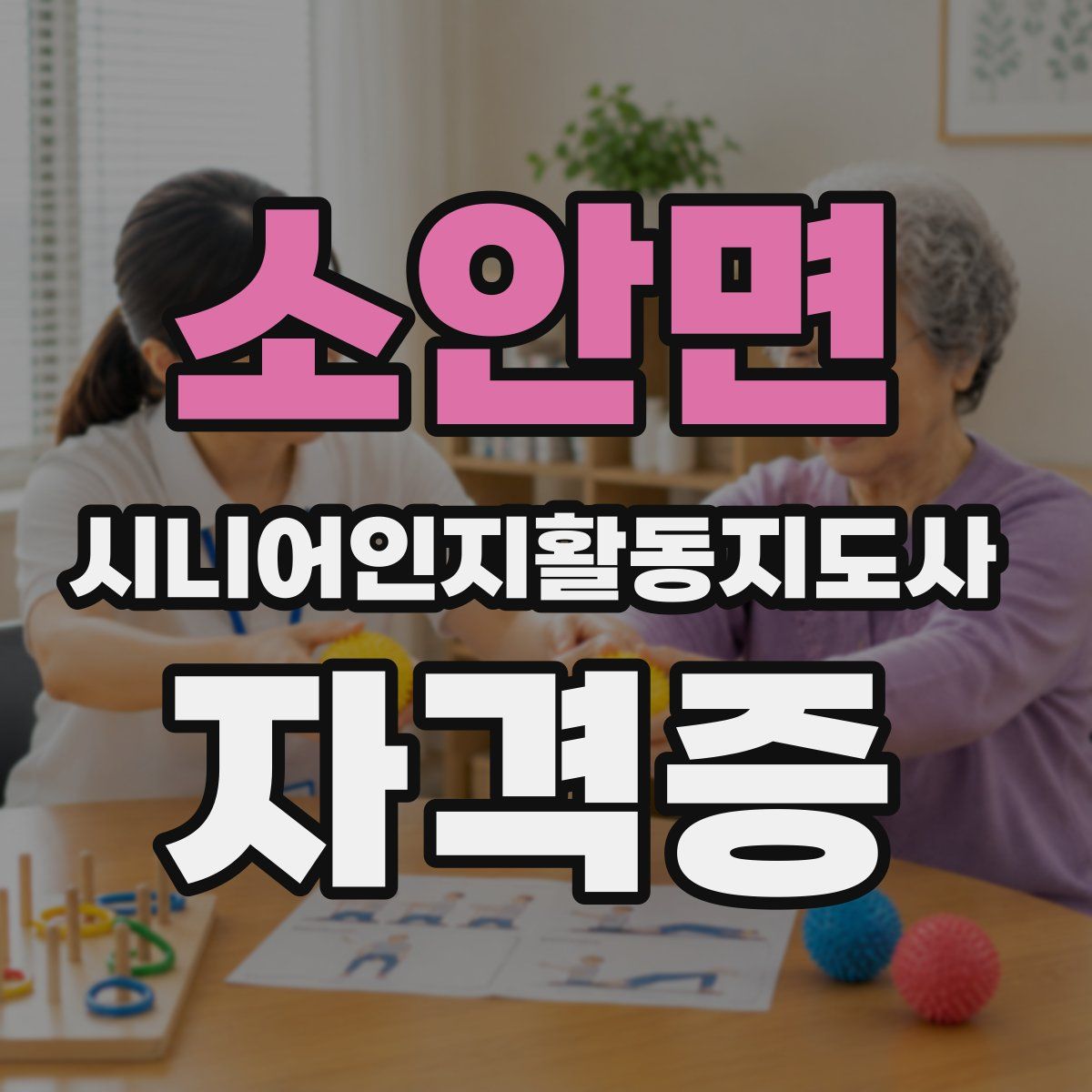 소안면 시니어인지활동지도사 자격증