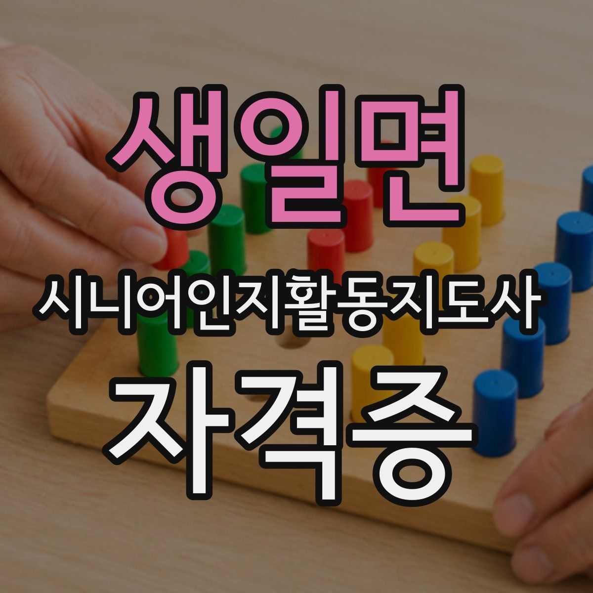 생일면 시니어인지활동지도사 자격증