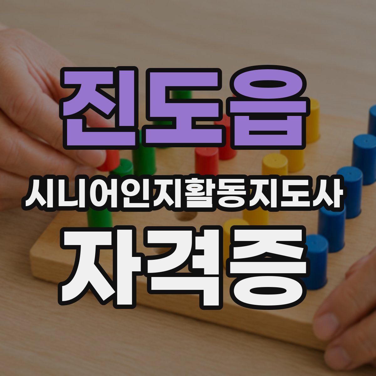 진도읍 시니어인지활동지도사 자격증