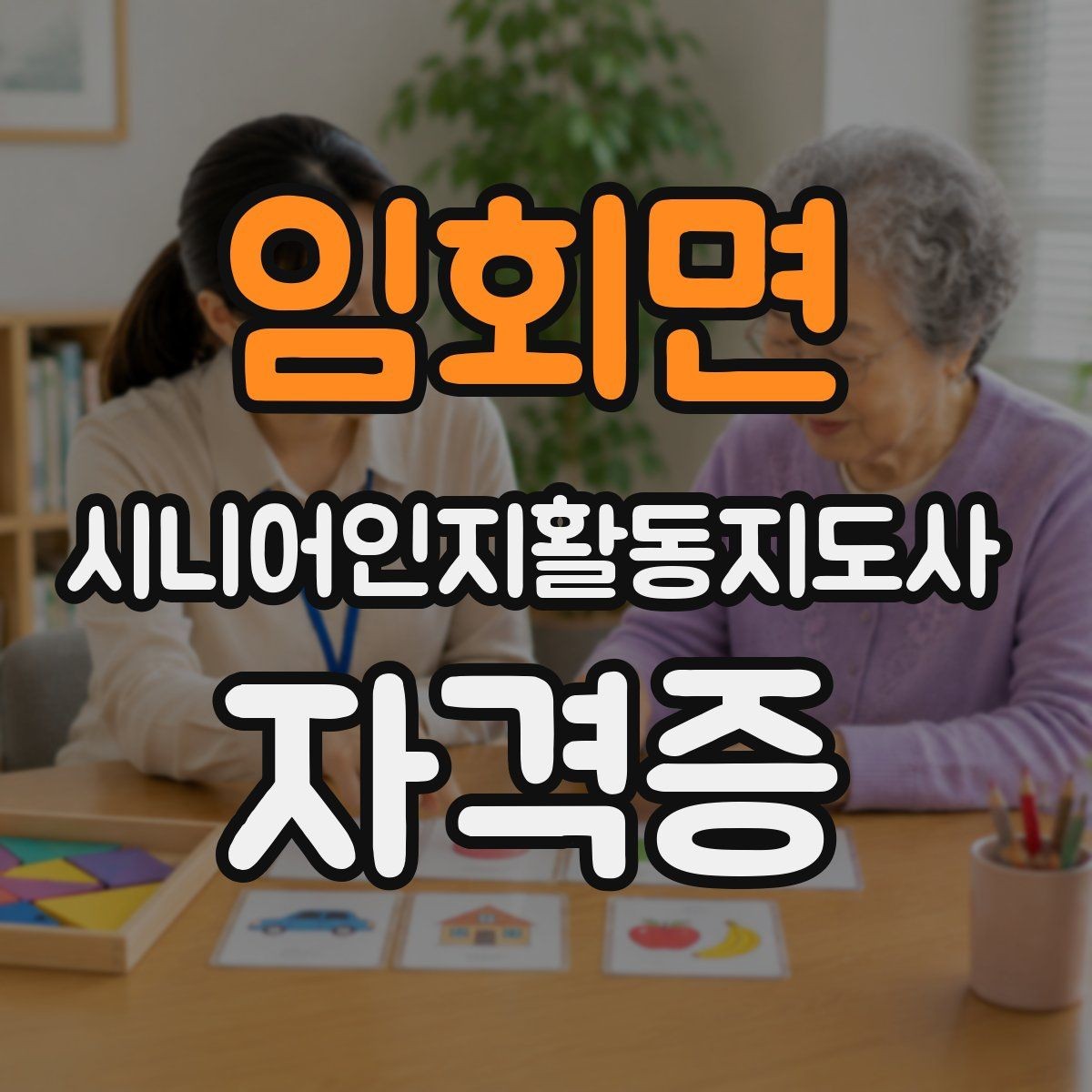 임회면 시니어인지활동지도사 자격증 공부 순서와 핵심 과목