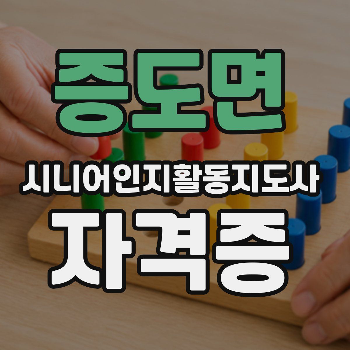 증도면 시니어인지활동지도사 자격증