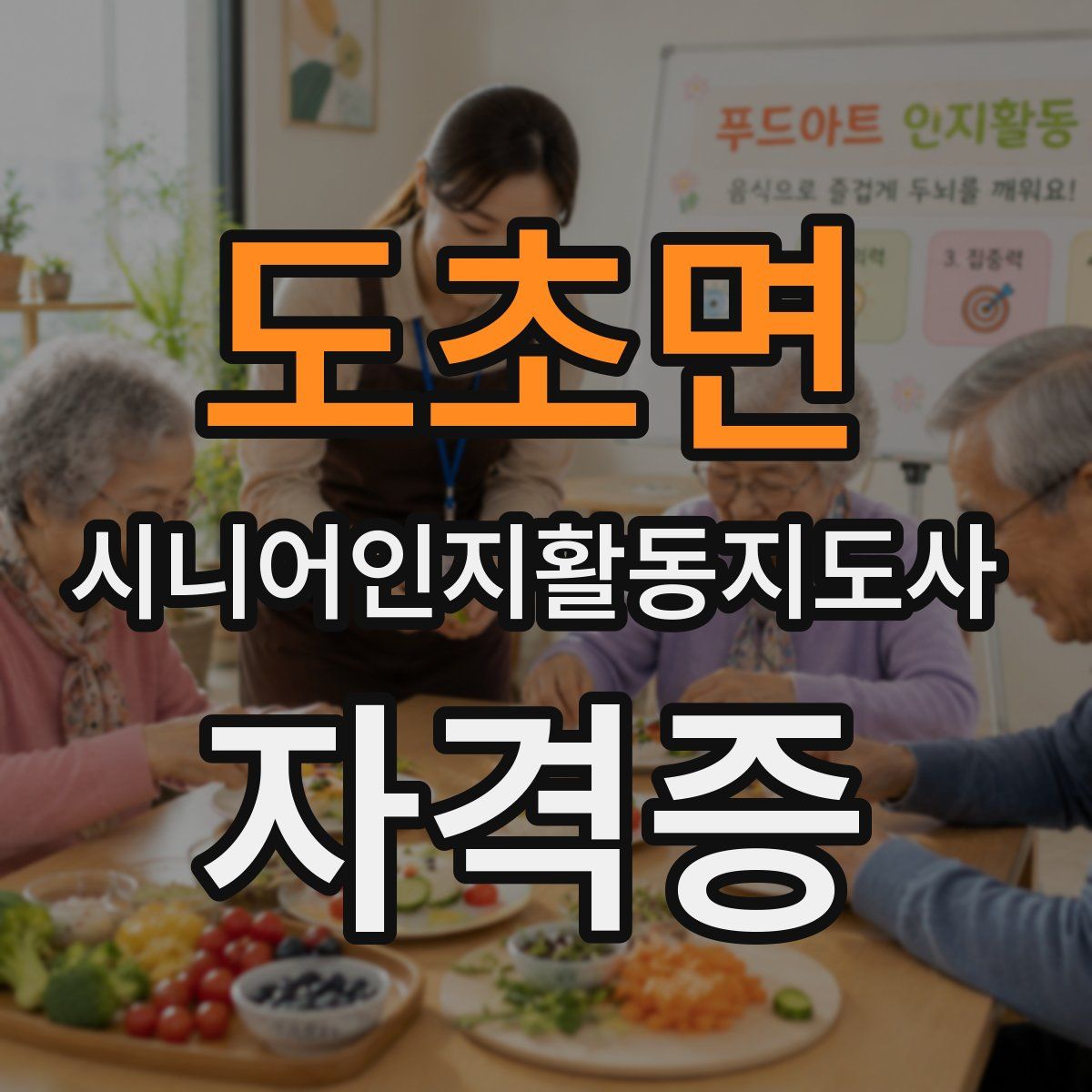 도초면 시니어인지활동지도사 자격증