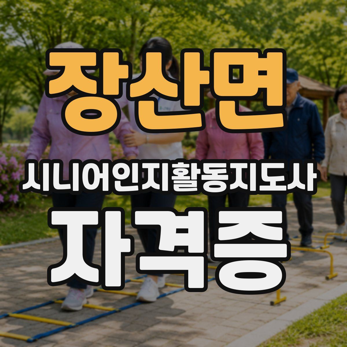 장산면 시니어인지활동지도사 자격증