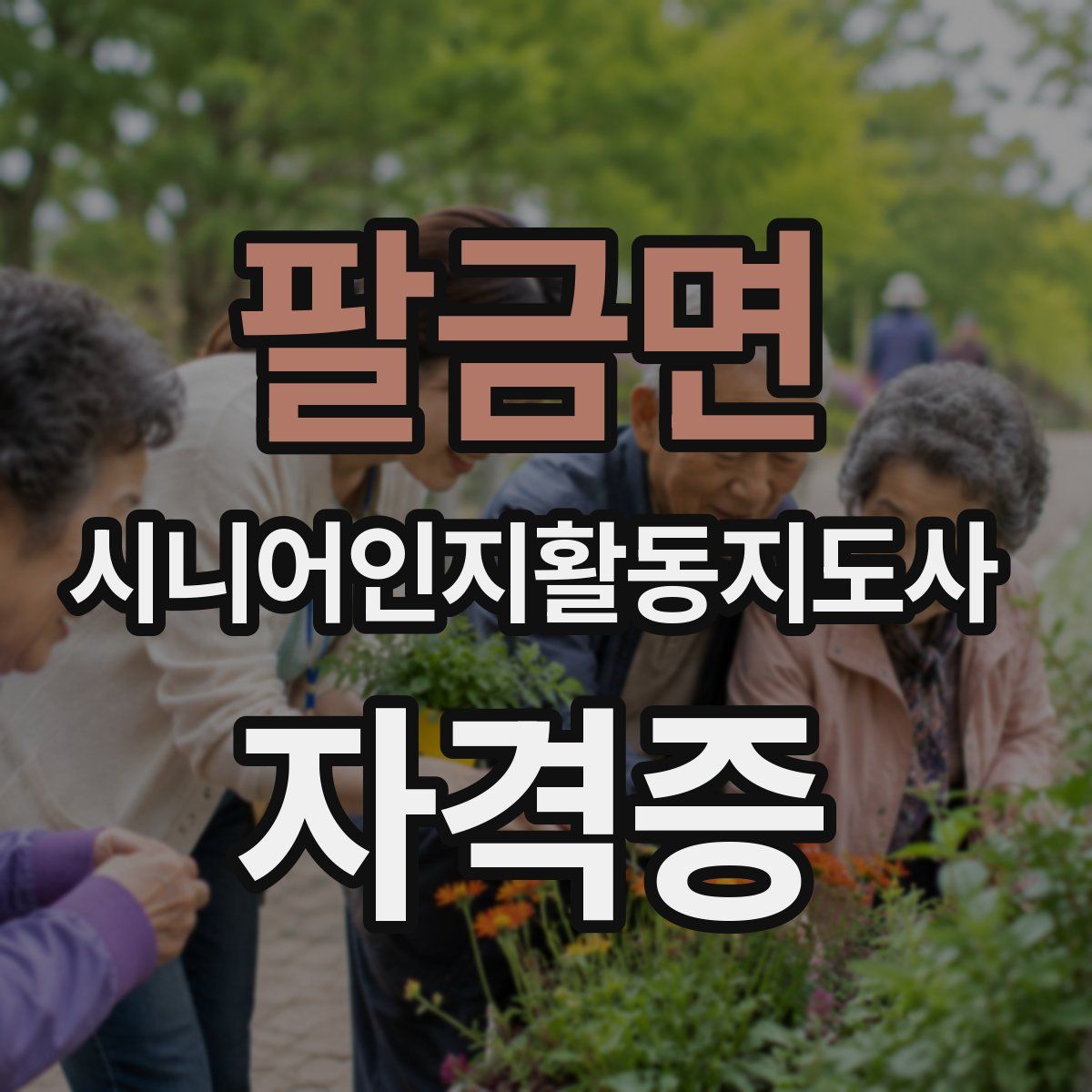 팔금면 시니어인지활동지도사 자격증