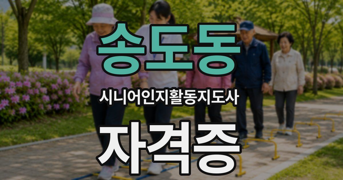 송도동 시니어인지활동지도사 자격증