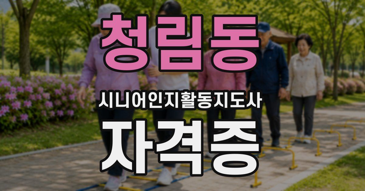 청림동 시니어인지활동지도사 자격증
