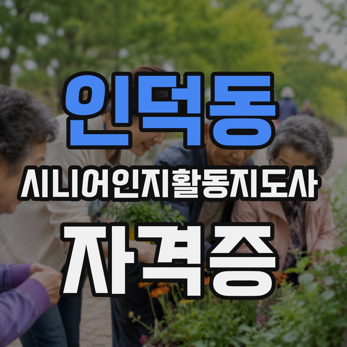 인덕동 시니어인지활동지도사 자격증