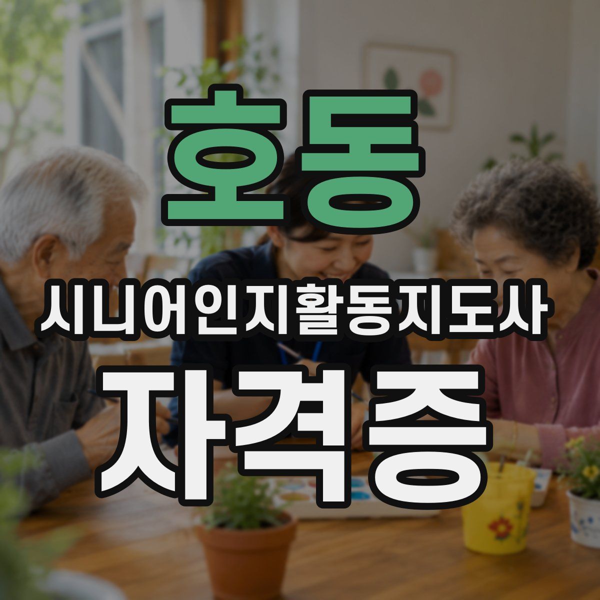 호동 시니어인지활동지도사 자격증