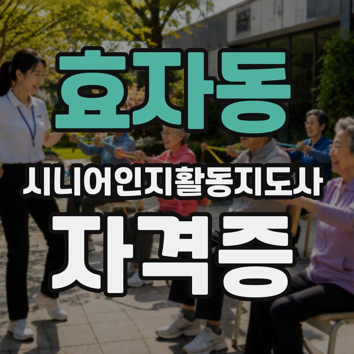 효자동 시니어인지활동지도사 자격증 강의 선택 시 살펴볼 기준
