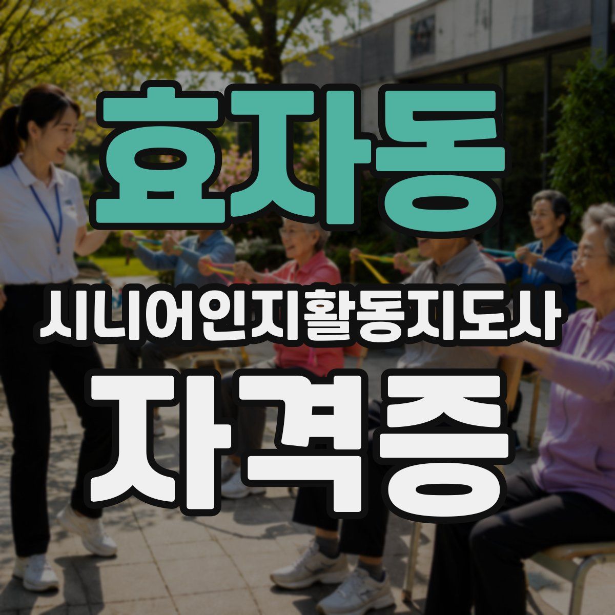 효자동 시니어인지활동지도사 자격증