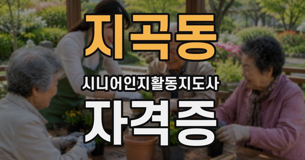 지곡동 시니어인지활동지도사 자격증