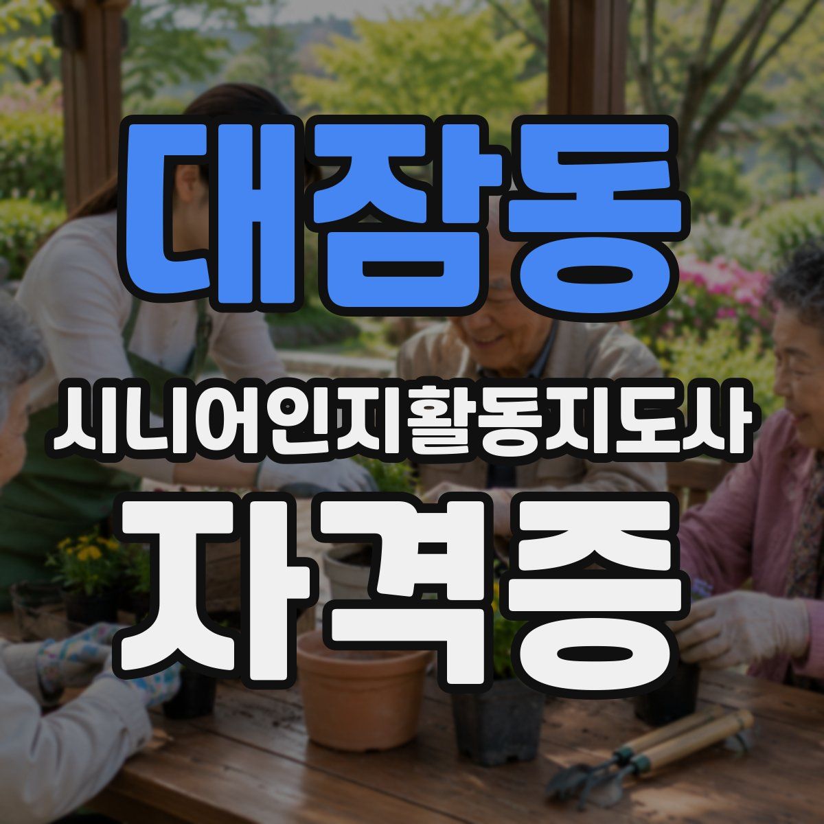 대잠동 시니어인지활동지도사 자격증