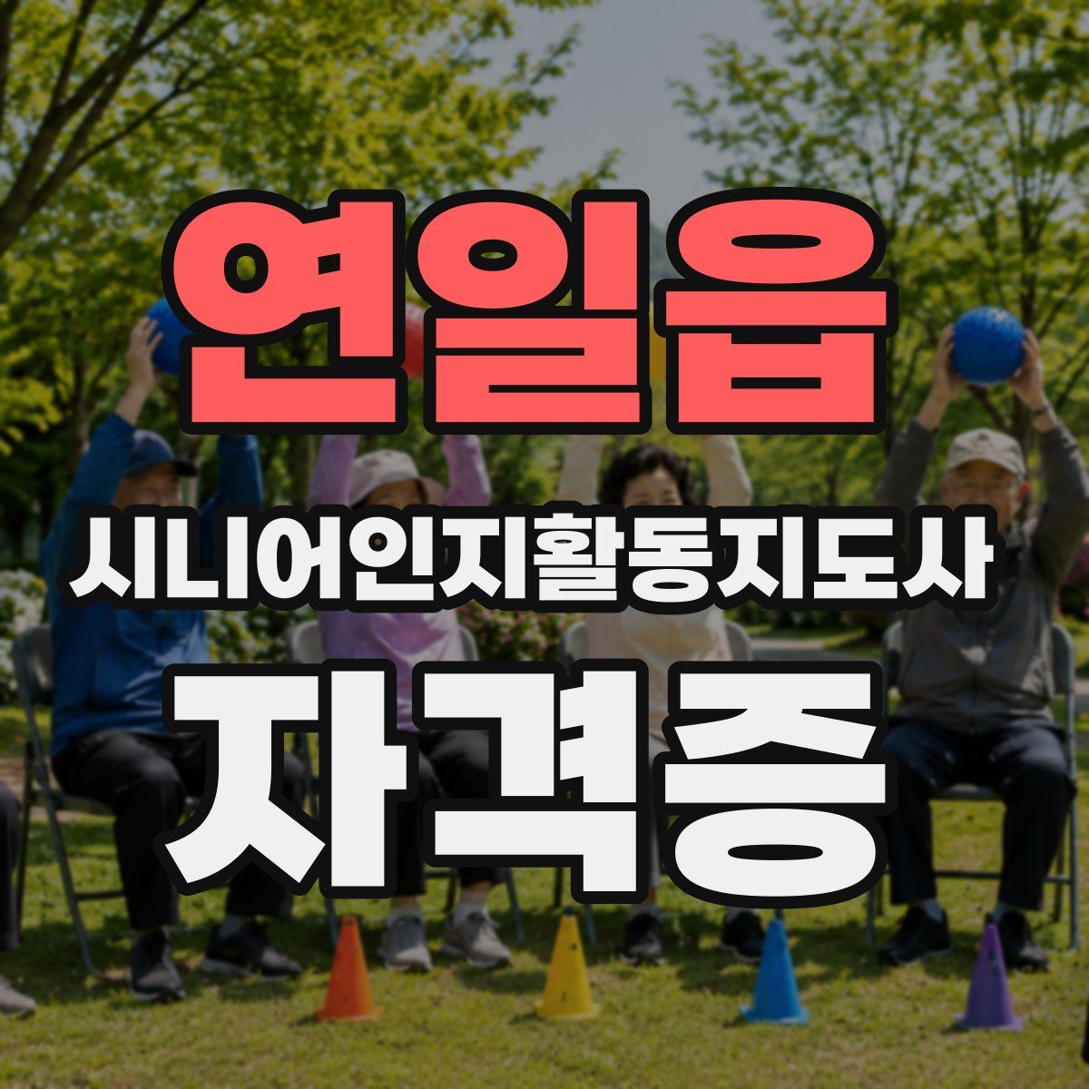연일읍 시니어인지활동지도사 자격증