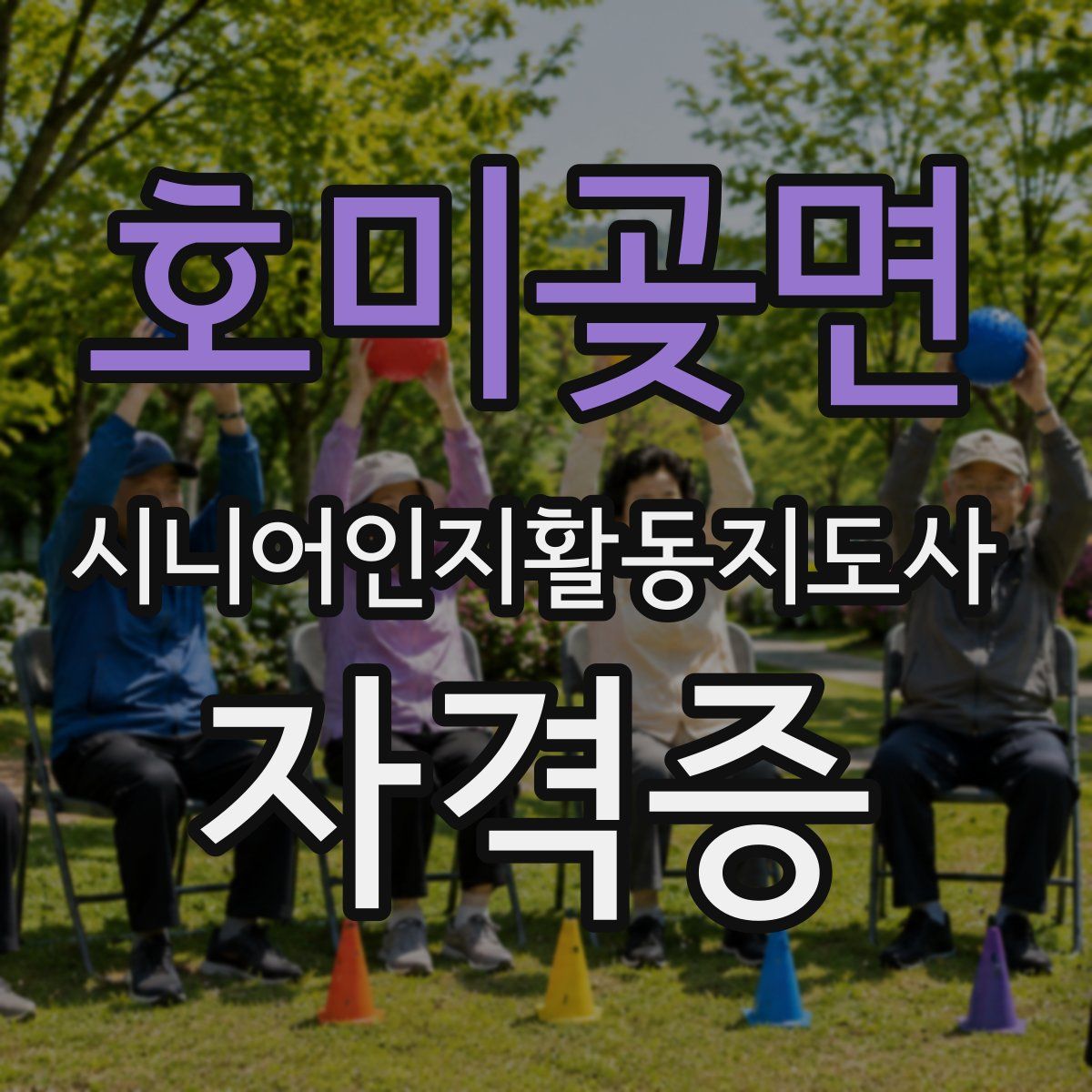 호미곶면 시니어인지활동지도사 자격증