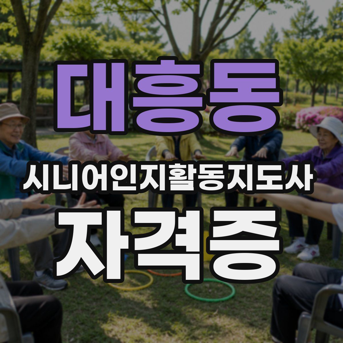 대흥동 시니어인지활동지도사 자격증