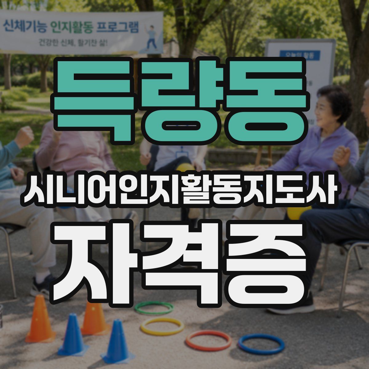 득량동 시니어인지활동지도사 자격증