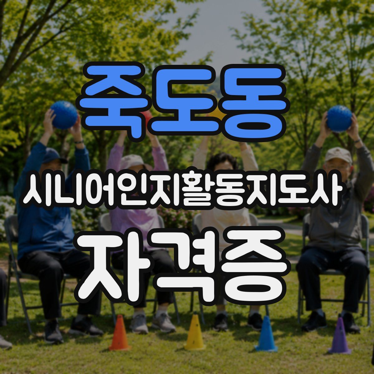죽도동 시니어인지활동지도사 자격증