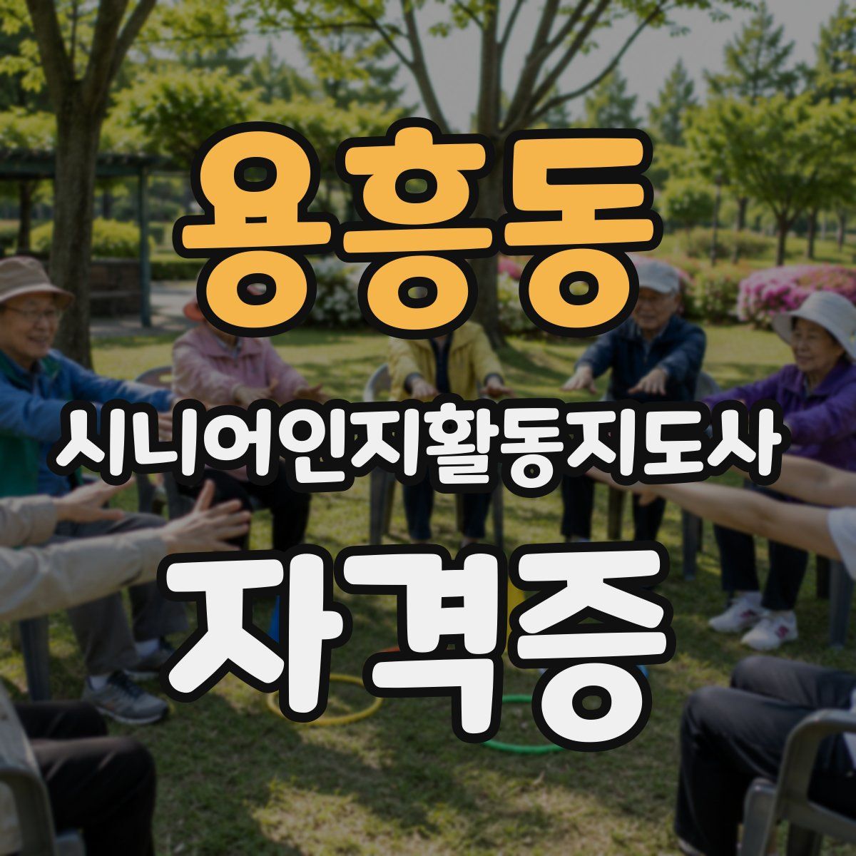 용흥동 시니어인지활동지도사 자격증