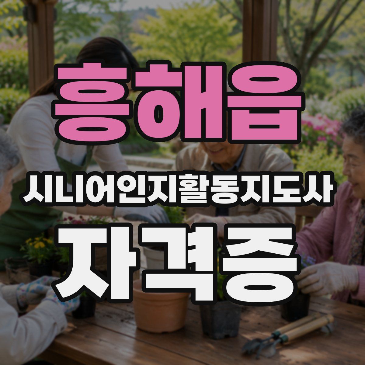 흥해읍 시니어인지활동지도사 자격증