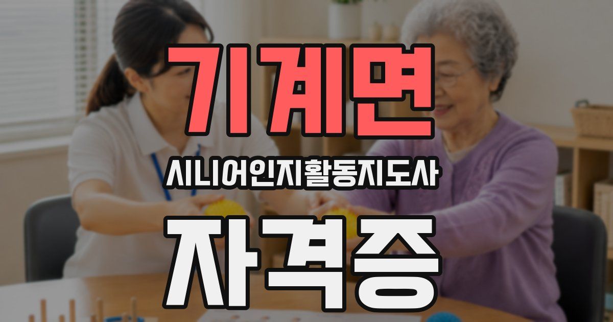 기계면 시니어인지활동지도사 자격증