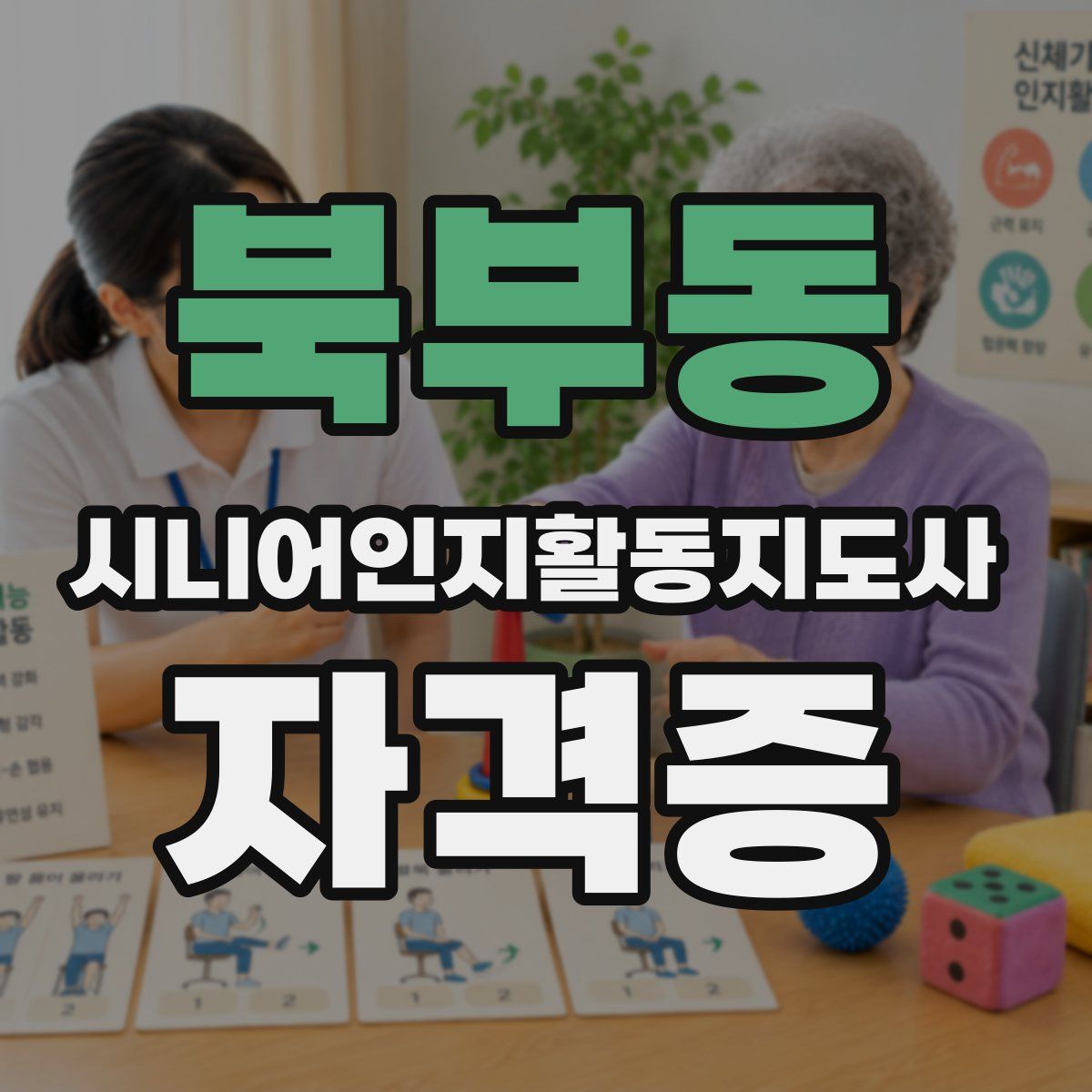 북부동 시니어인지활동지도사 자격증