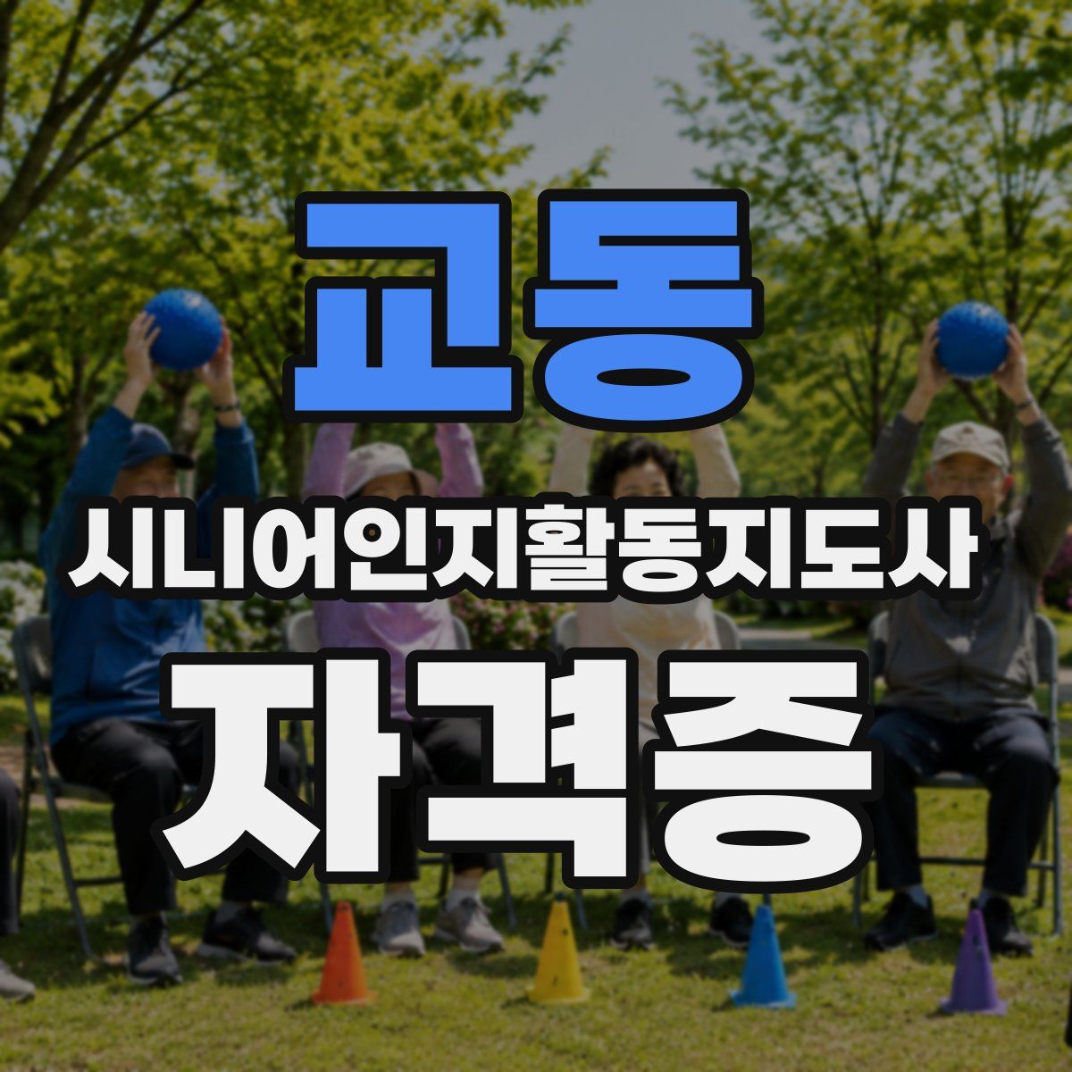 교동 시니어인지활동지도사 자격증
