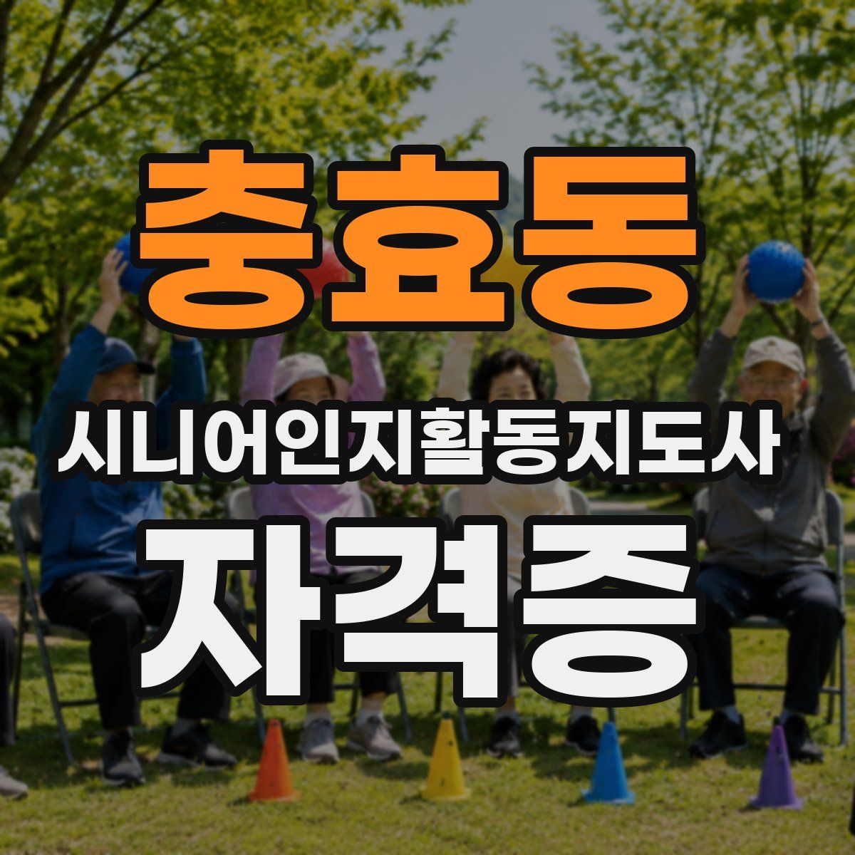 충효동 시니어인지활동지도사 자격증