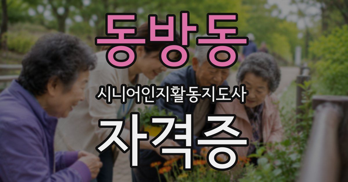 동방동 시니어인지활동지도사 자격증