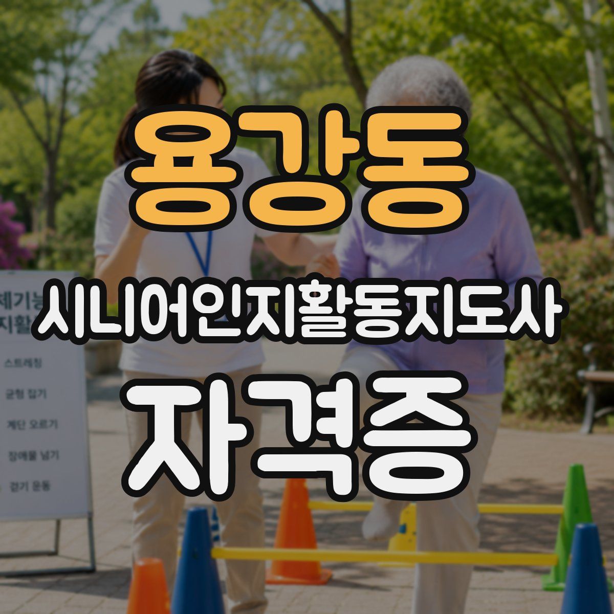 용강동 시니어인지활동지도사 자격증