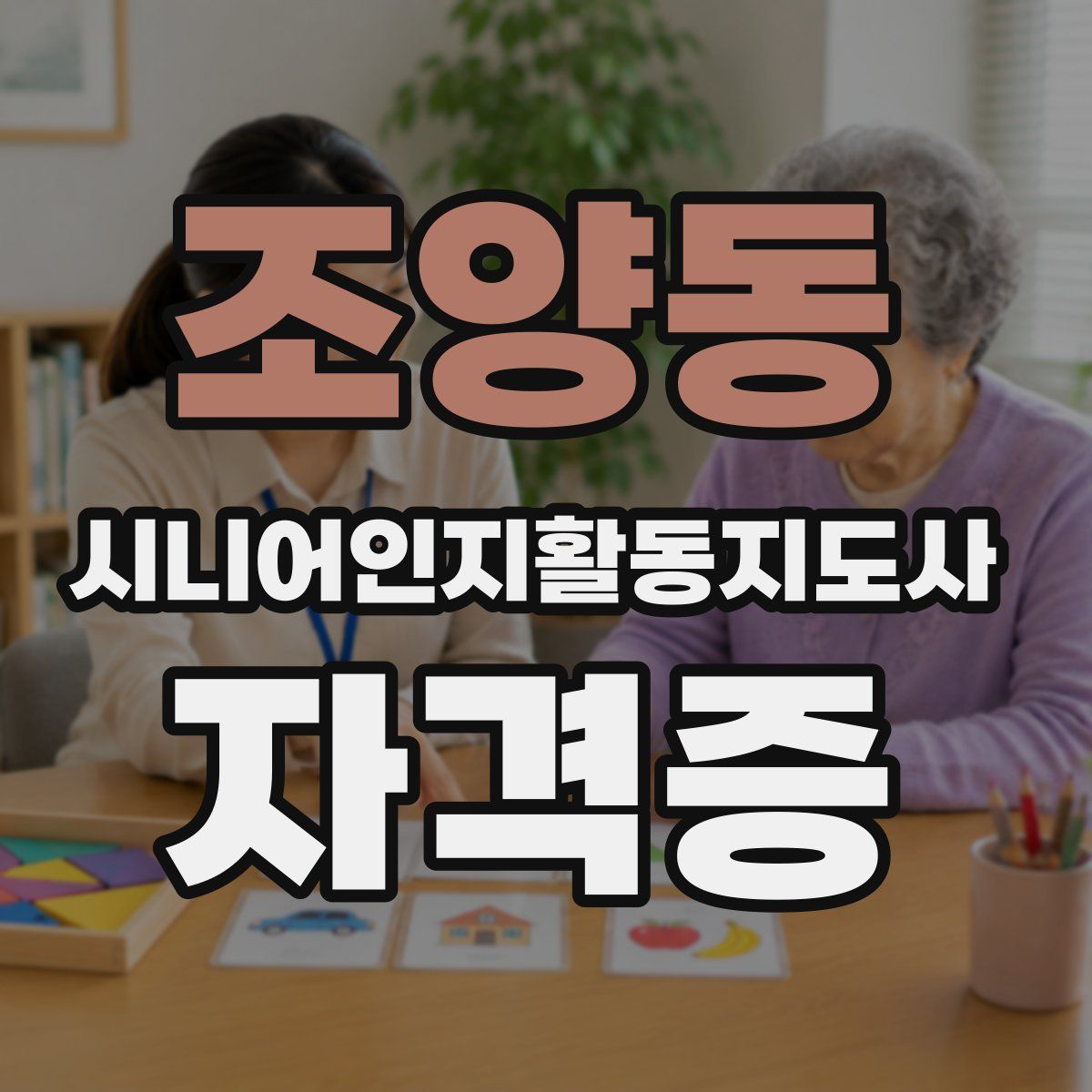 조양동 시니어인지활동지도사 자격증