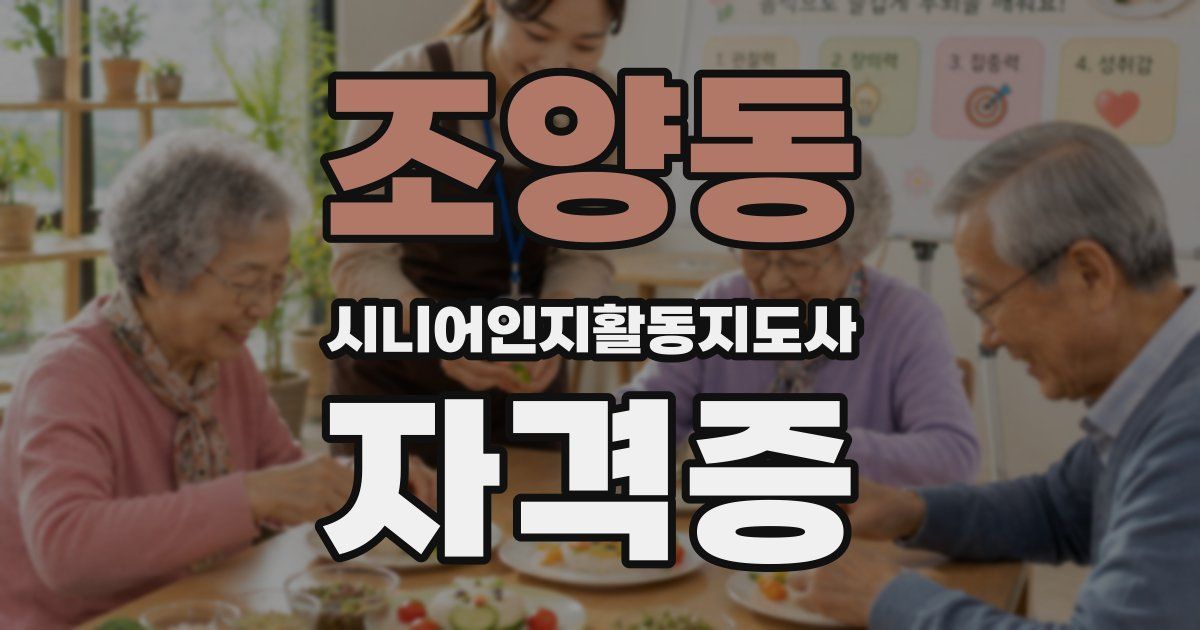 조양동 시니어인지활동지도사 자격증