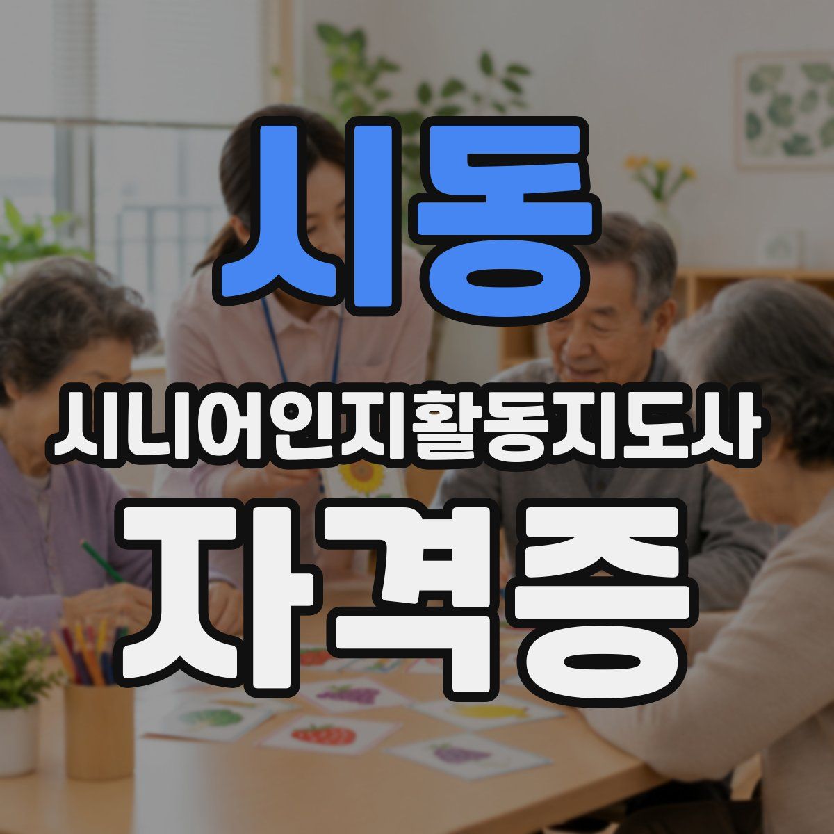 시동 시니어인지활동지도사 자격증