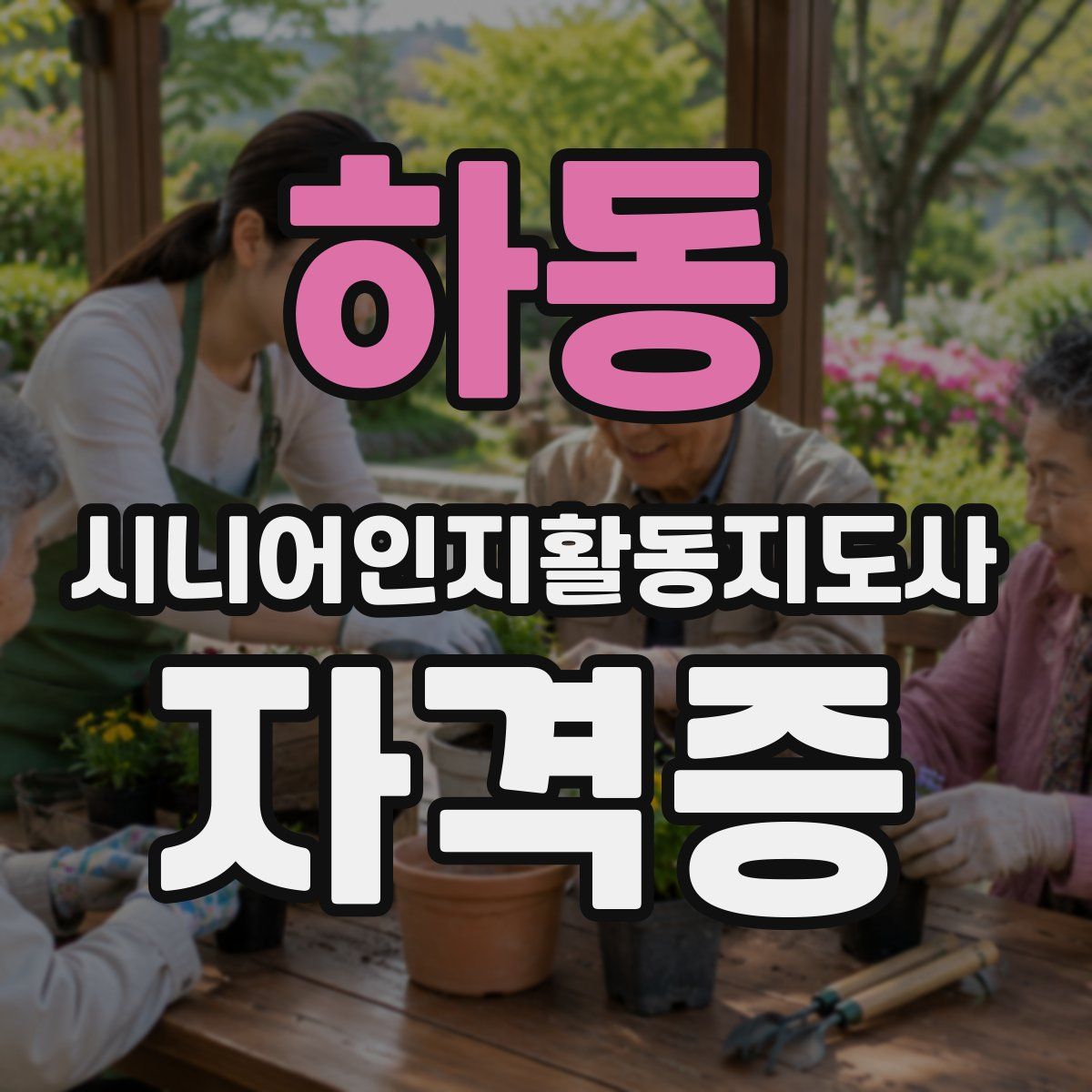 하동 시니어인지활동지도사 자격증