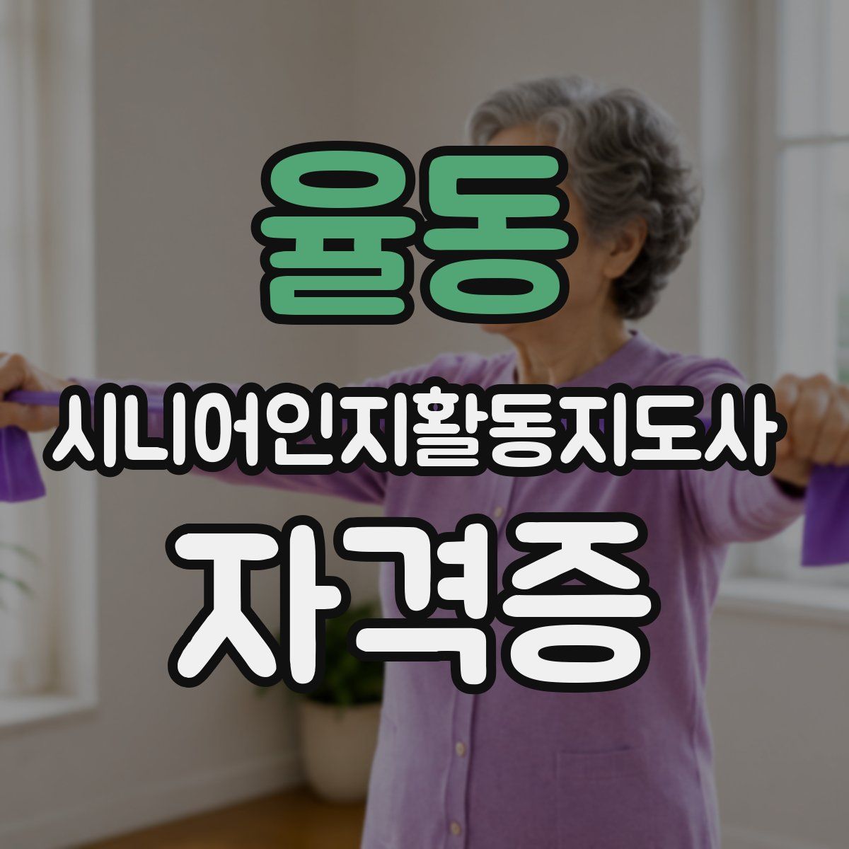 율동 시니어인지활동지도사 자격증