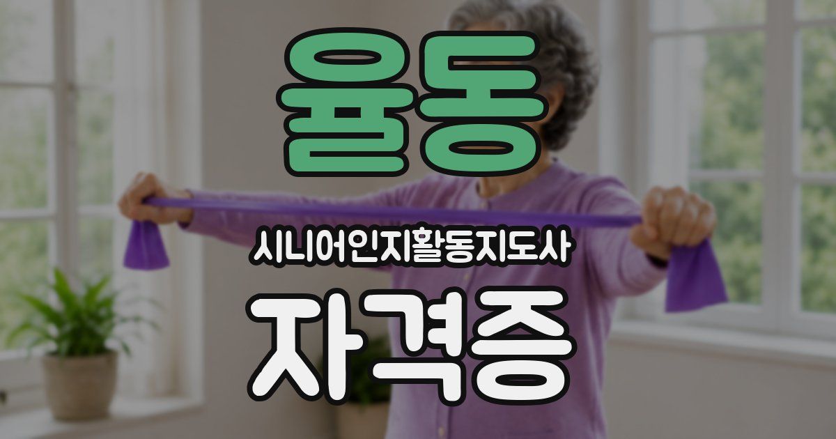 율동 시니어인지활동지도사 자격증