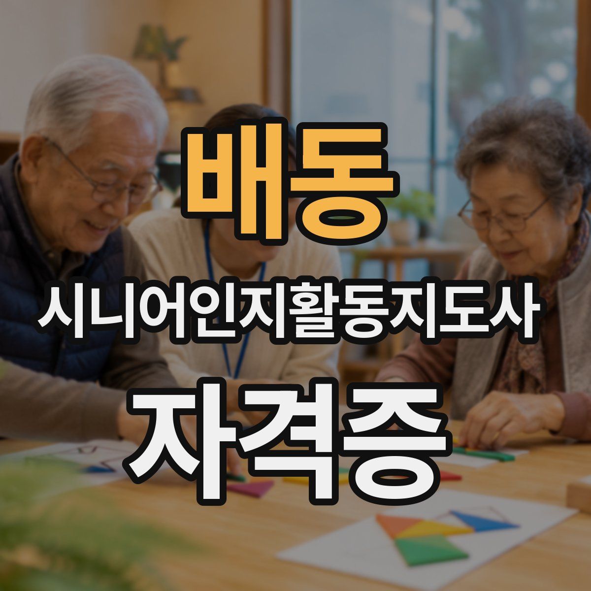 배동 시니어인지활동지도사 자격증