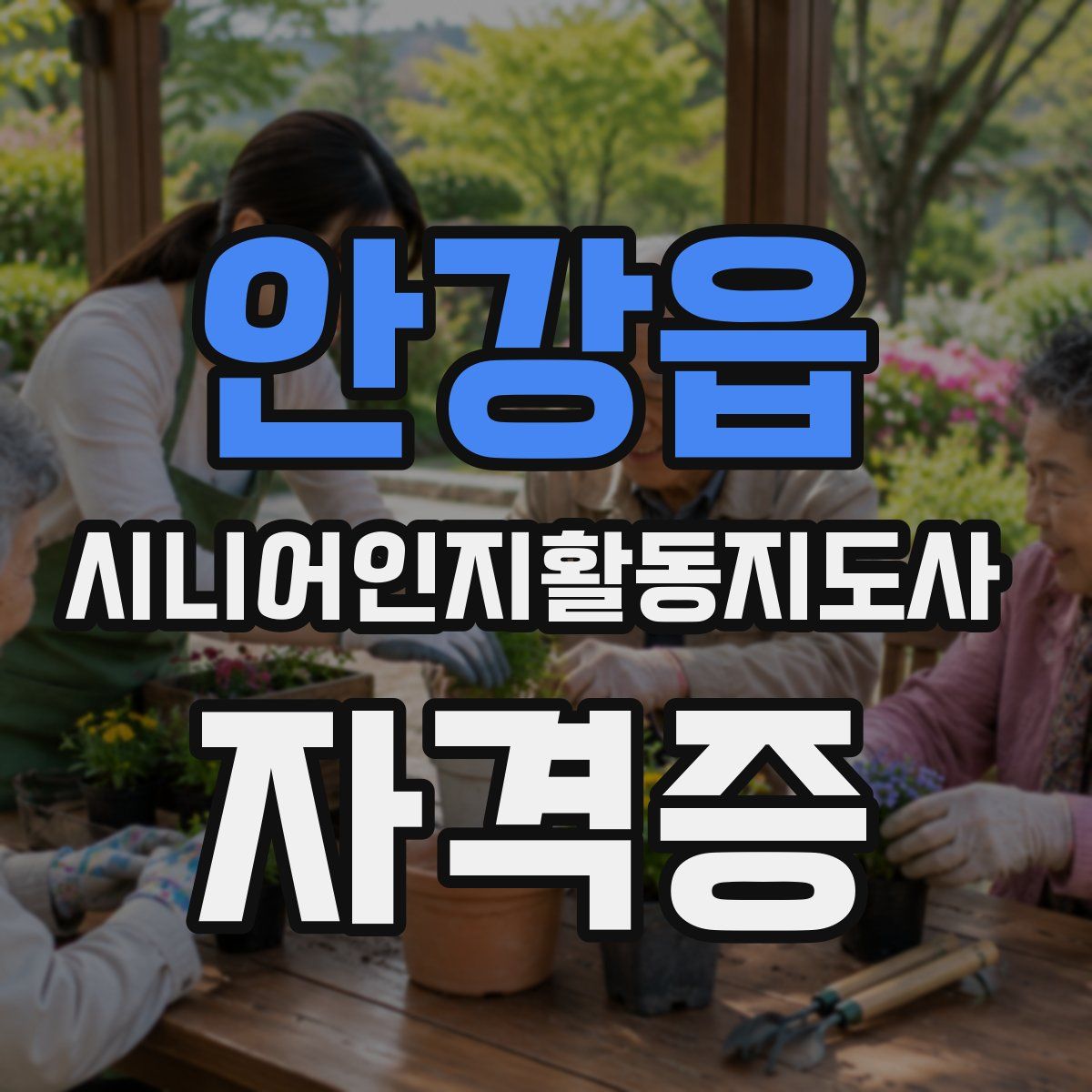 안강읍 시니어인지활동지도사 자격증