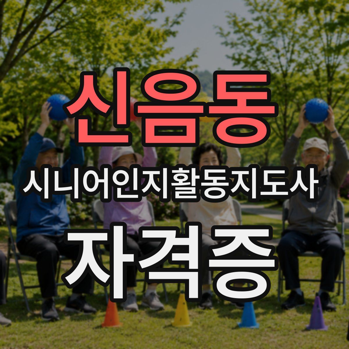 신음동 시니어인지활동지도사 자격증