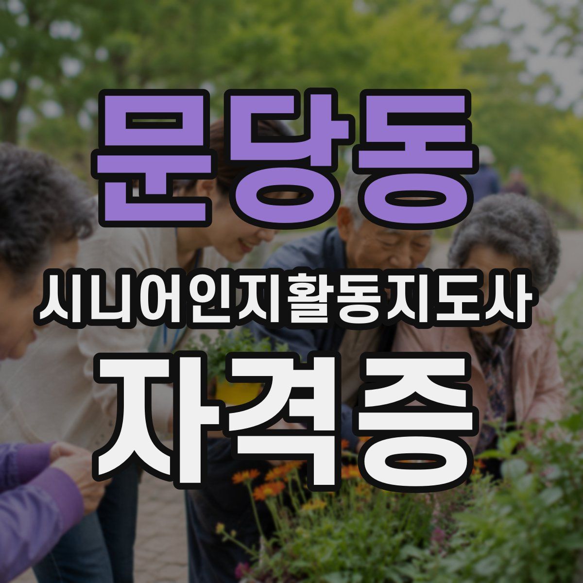 문당동 시니어인지활동지도사 자격증
