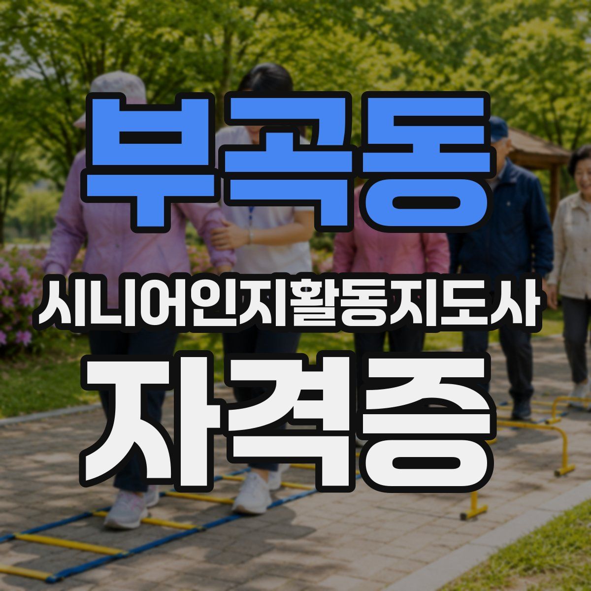부곡동 시니어인지활동지도사 자격증