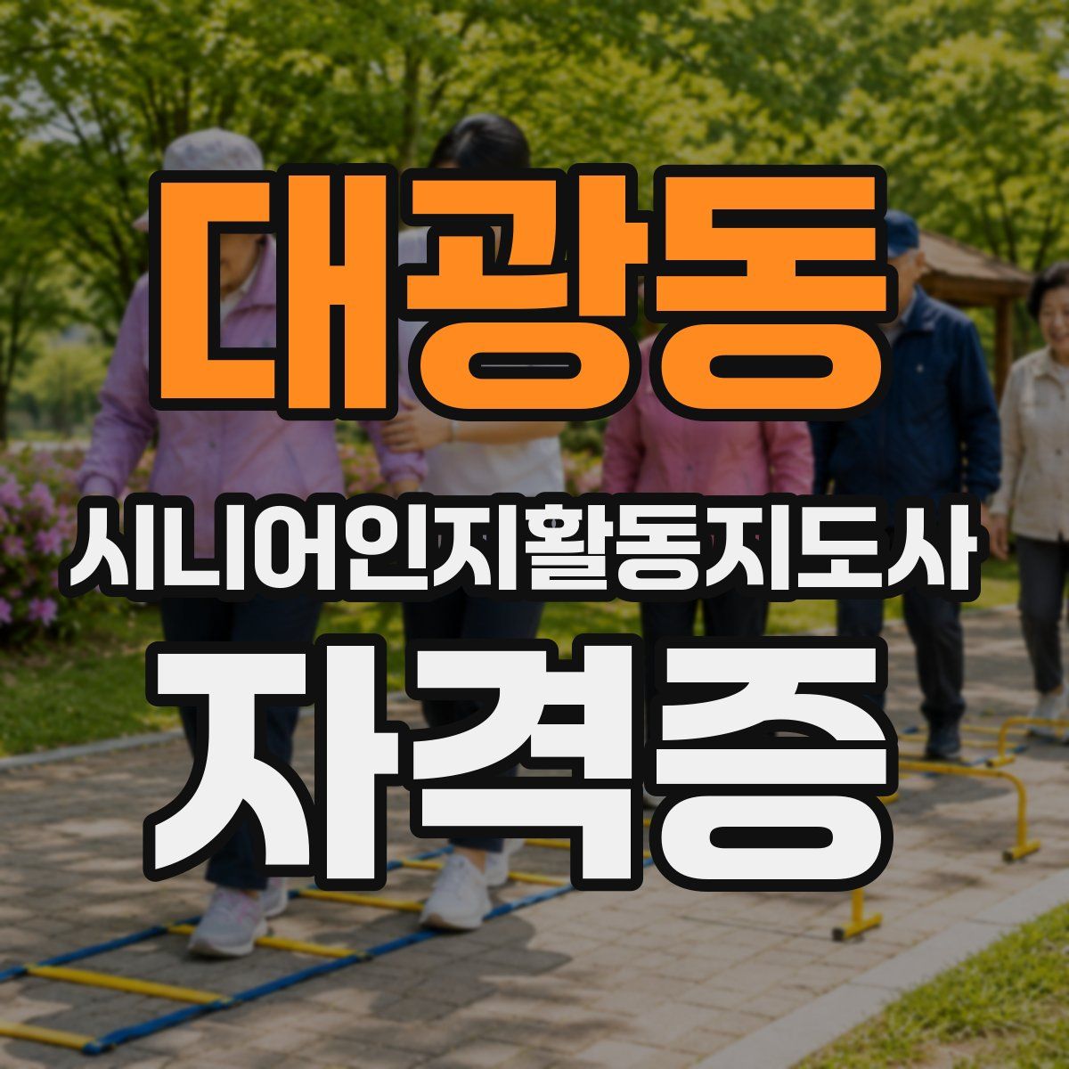 대광동 시니어인지활동지도사 자격증