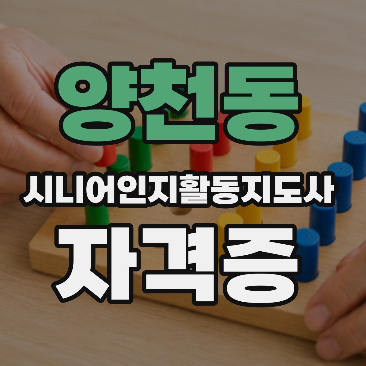 양천동 시니어인지활동지도사 자격증