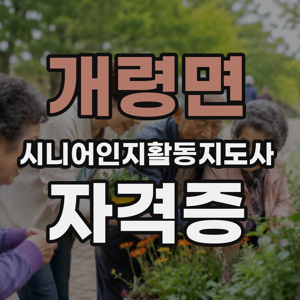 개령면 시니어인지활동지도사 자격증