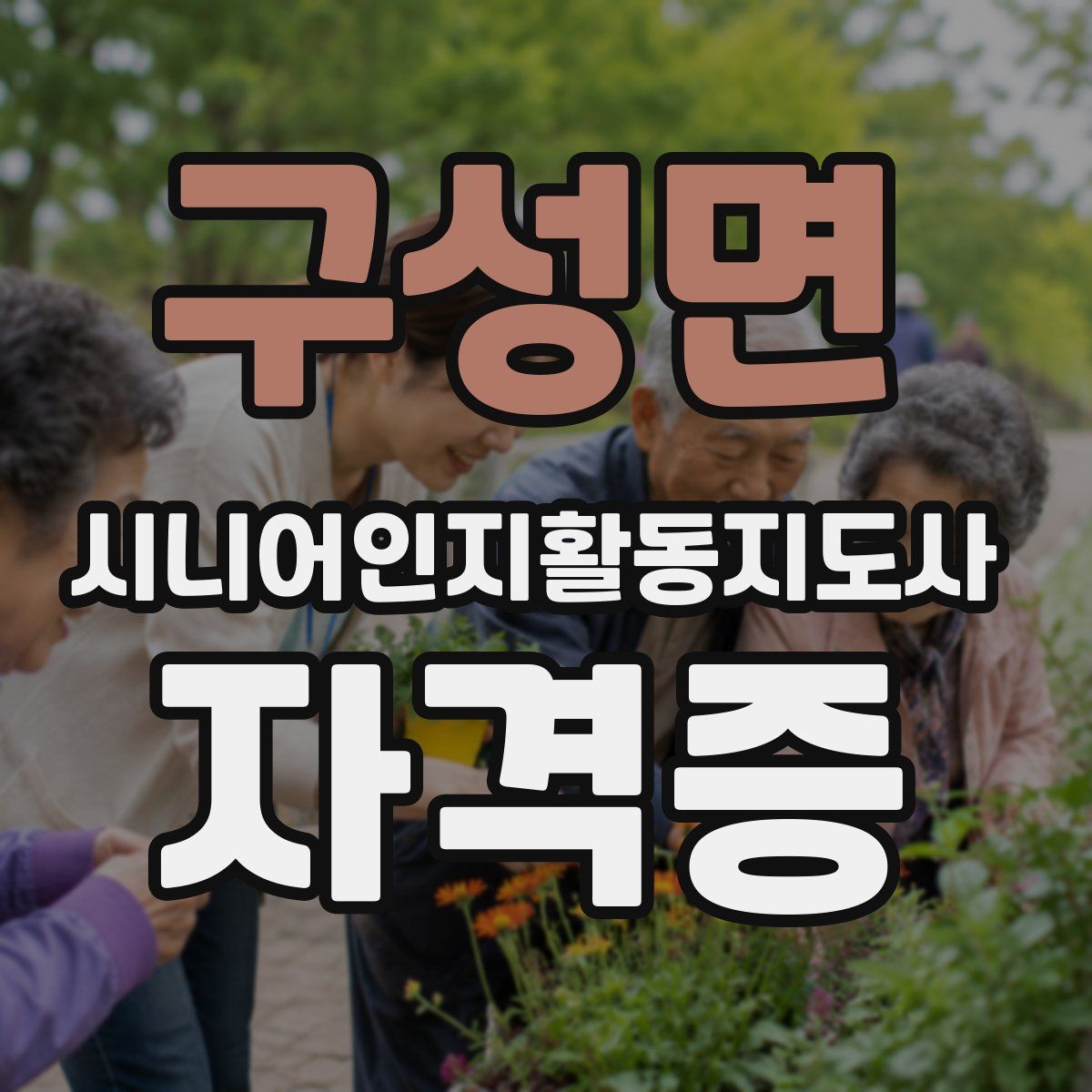 구성면 시니어인지활동지도사 자격증
