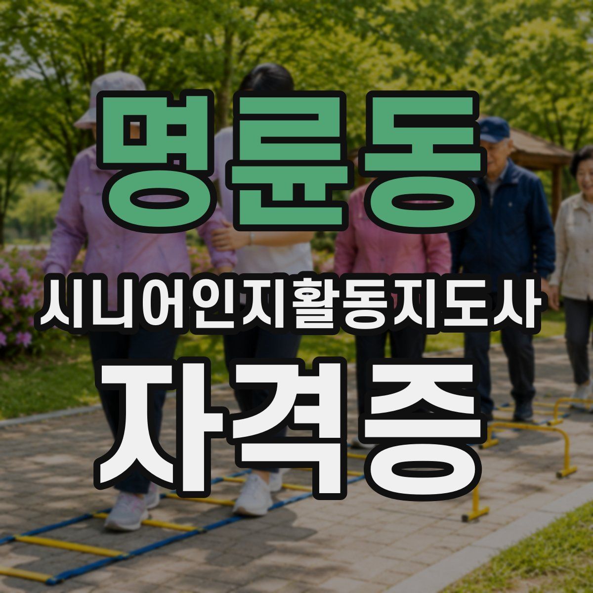 명륜동 시니어인지활동지도사 자격증
