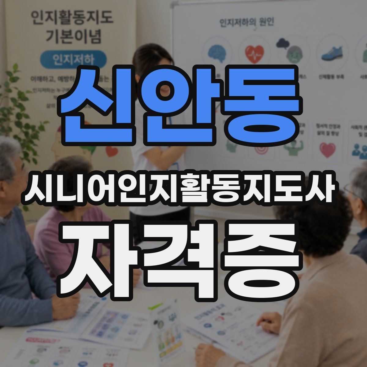 신안동 시니어인지활동지도사 자격증