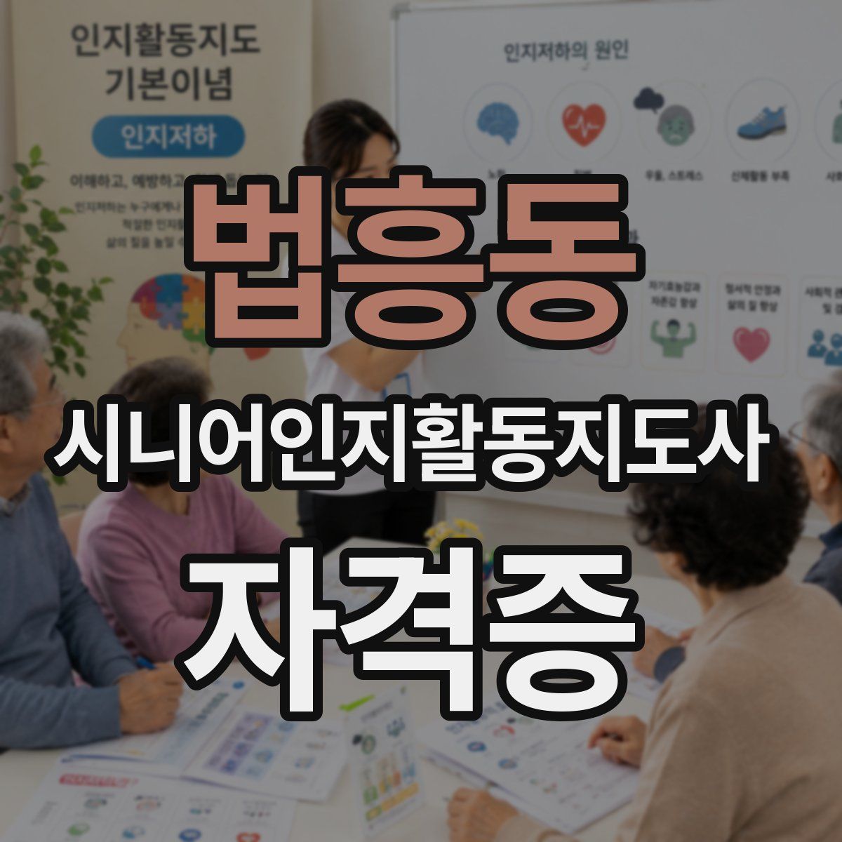 법흥동 시니어인지활동지도사 자격증