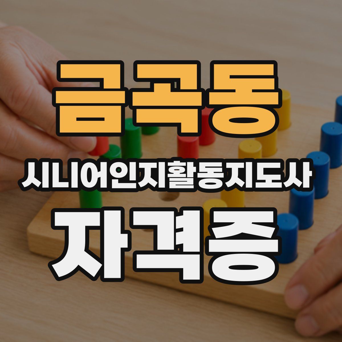 금곡동 시니어인지활동지도사 자격증