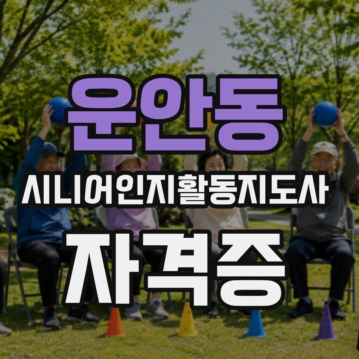 운안동 시니어인지활동지도사 자격증