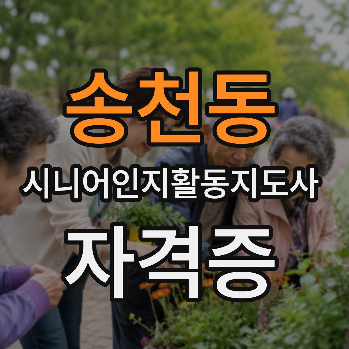 송천동 시니어인지활동지도사 자격증 등록 과정과 확인 사항